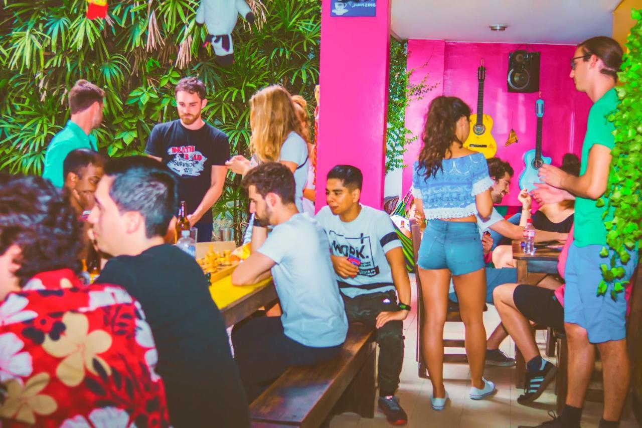 The Pelican Larry Hostel Cali Ngoại thất bức ảnh